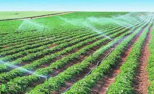 cao黑逼农田高 效节水灌溉